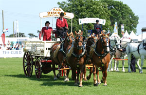 Devon County Show 